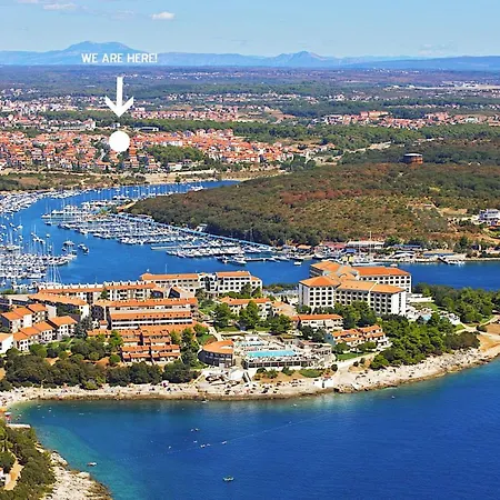 Alavuk Πούλα